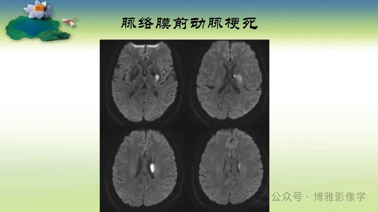 a2ed8379245222fcf8658a0cb306c233.jpg
