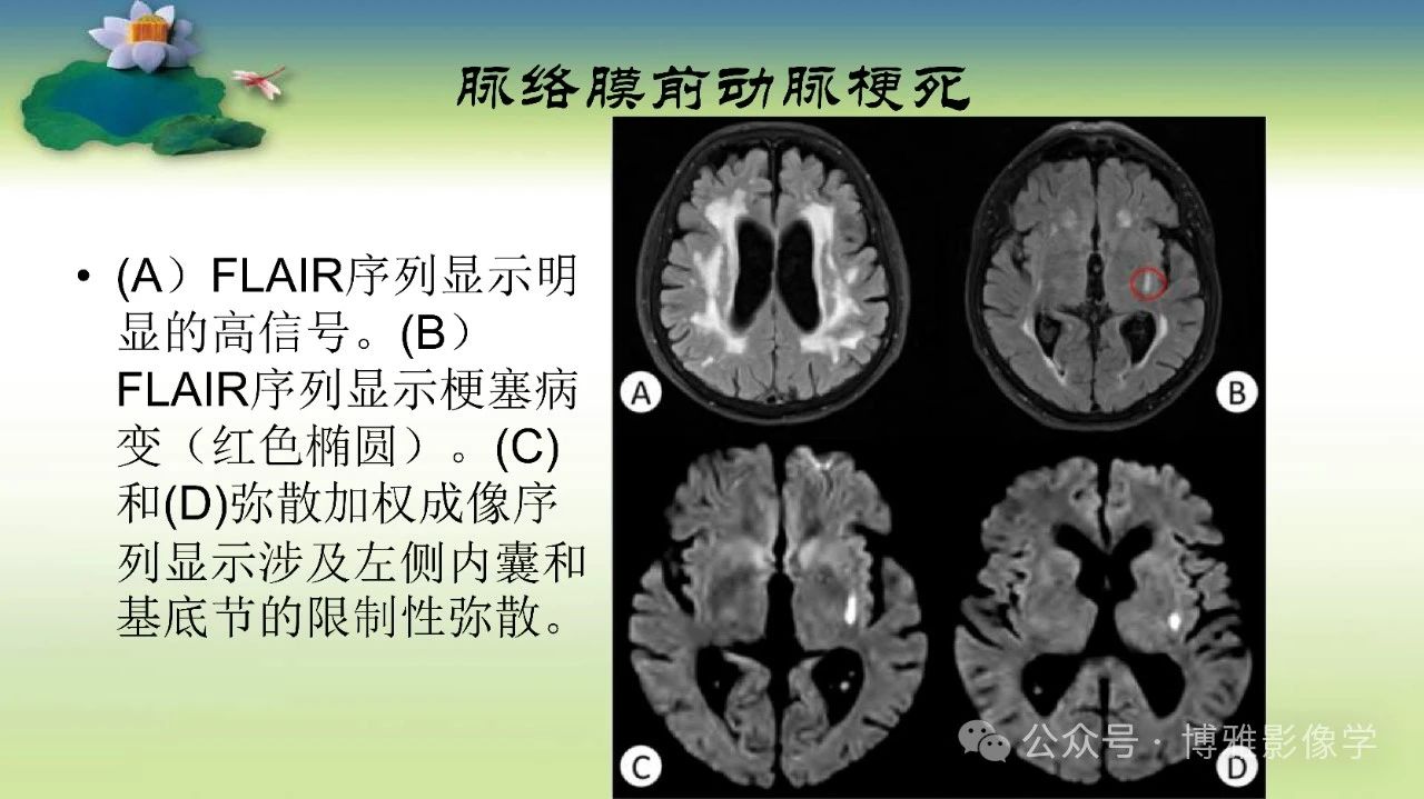 bdf5890cb625f08831fea3c0d54fdf1a.jpg