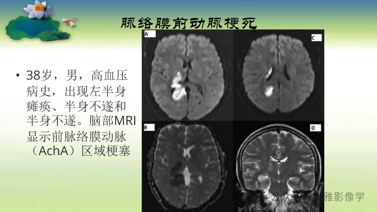 e8bebc4940db6aae501aed57d60082fd.jpg