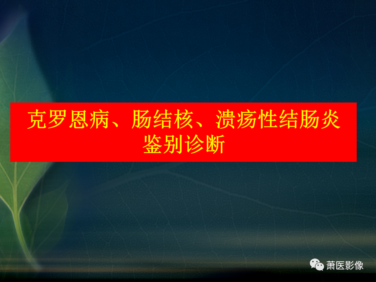 d5c53b97af6eda519722e0107dd440fa.png