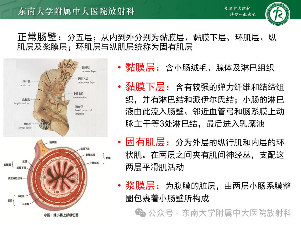 f2a870db9fba83fa363643f7a421ada2.png