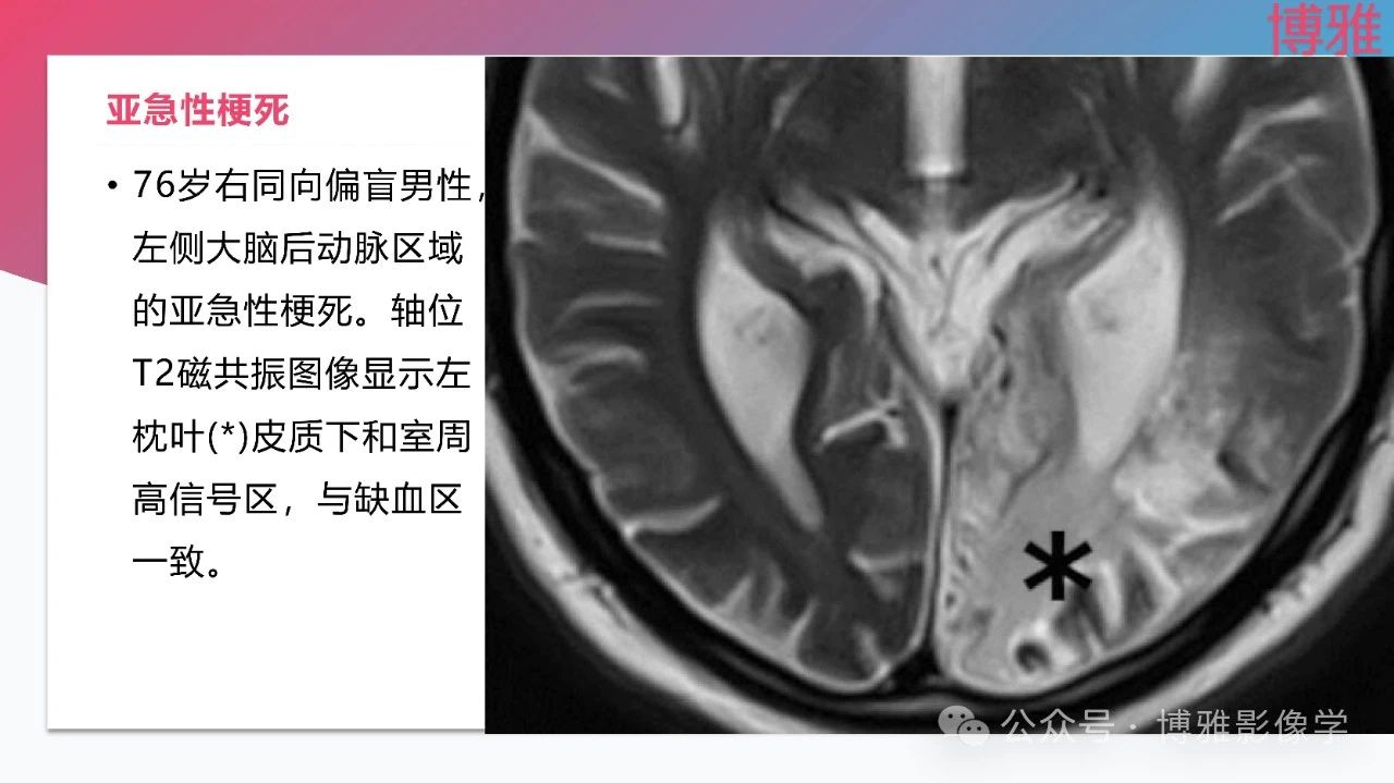 ce329fd150cba9503992612f08958ae3.jpg