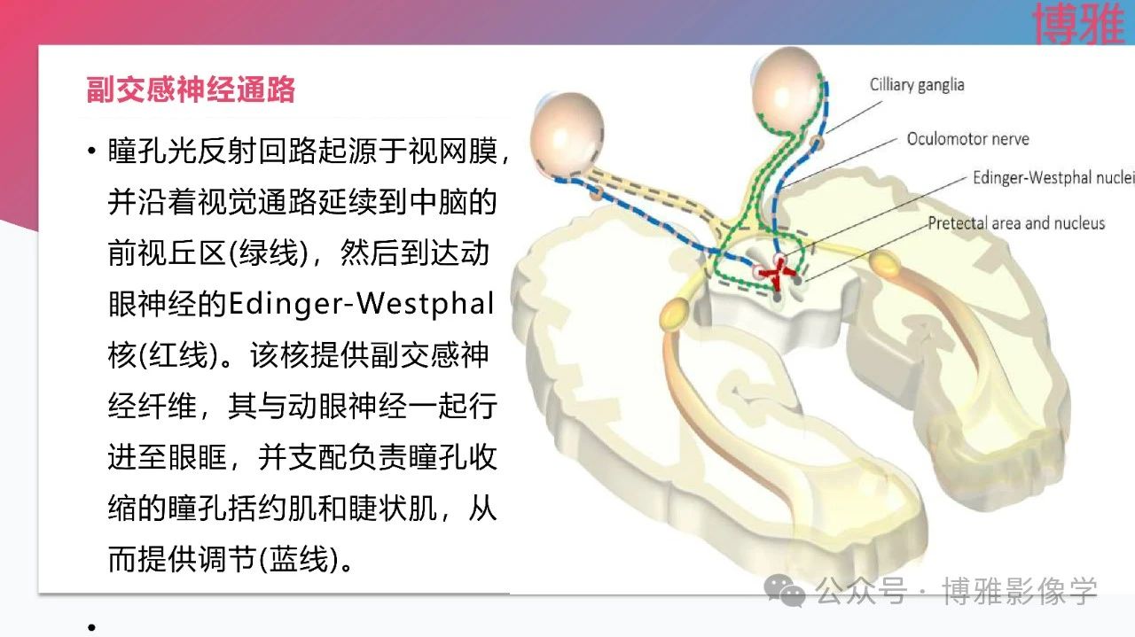 b9b9ce5612e380841589a6c3c5b28fda.jpg