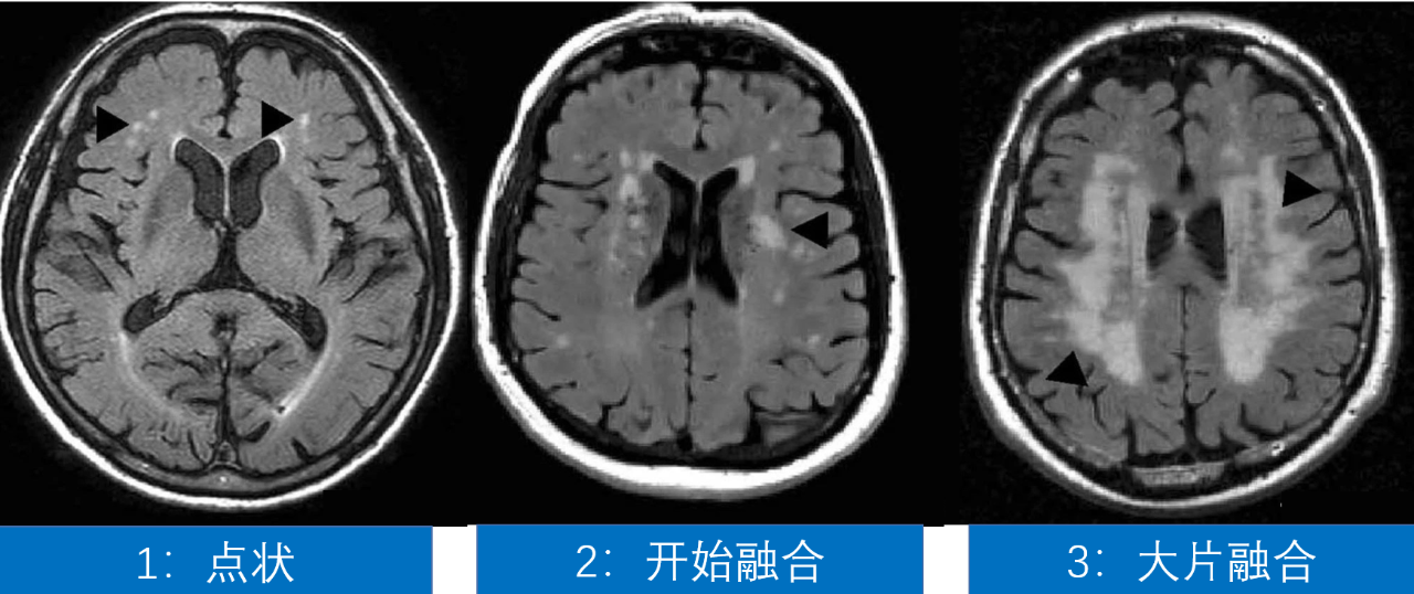 6be9a6c14b6c1a94511c9e2700bc7649.png