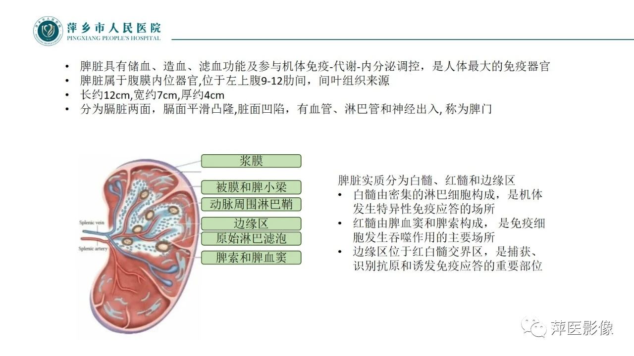 ca5106e6ce01b4c20abd725300ce0983.jpg