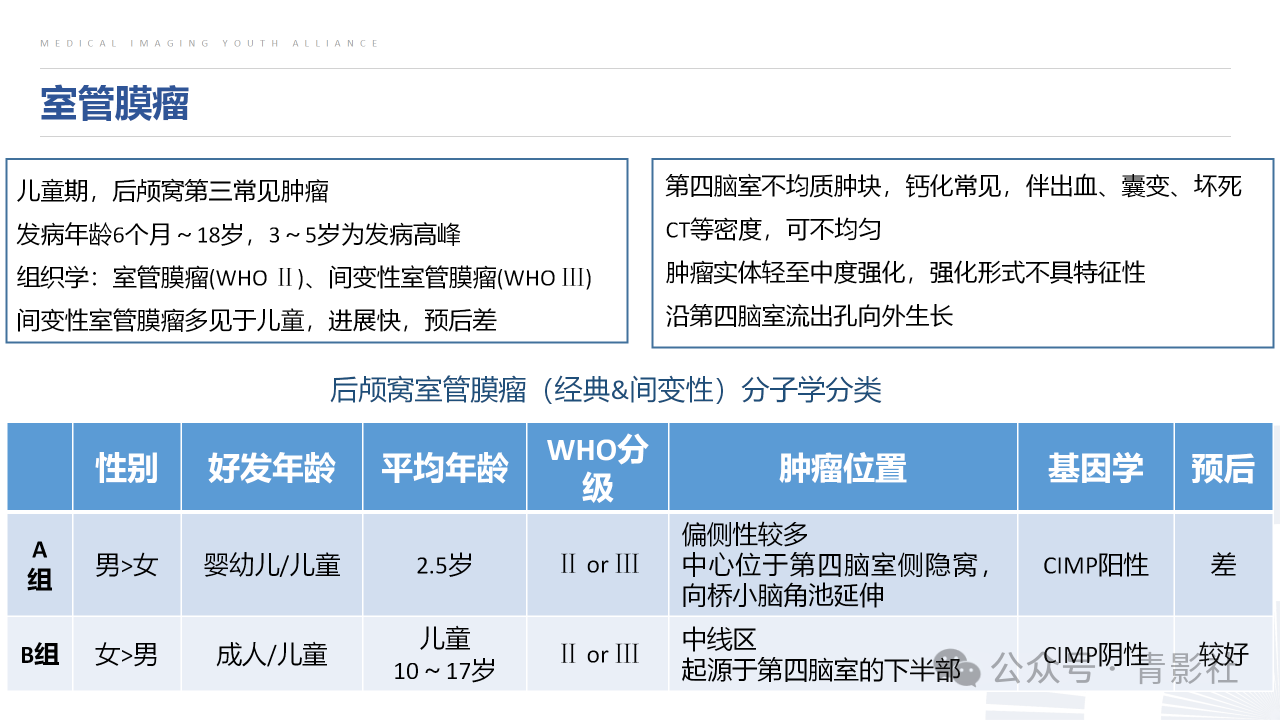 394fbacc1b41d2b60fef5004e33255f9.png
