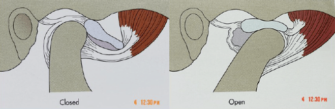 c0bc4421c328a7702911e869f85fdd84.png