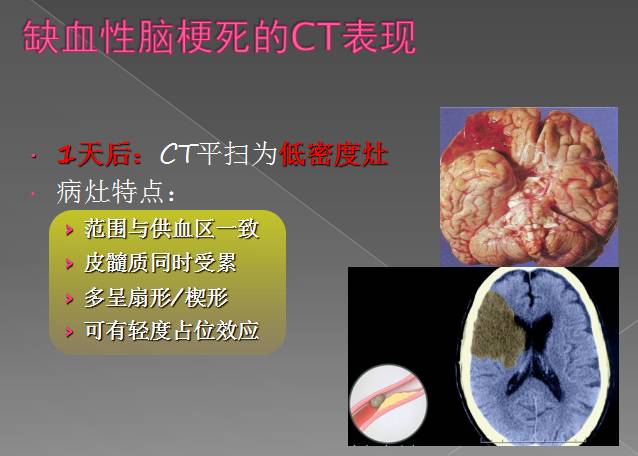 bec86ba22b9f236da1d814b91dc16269.jpg