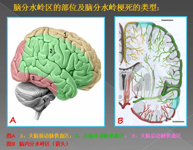 eadd2d9faf2a9c59466321f66d7c3231.jpg