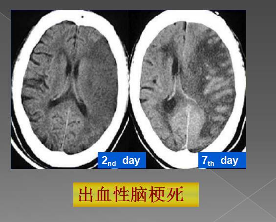 cd6020fedea51b634087d622b74c31af.jpg