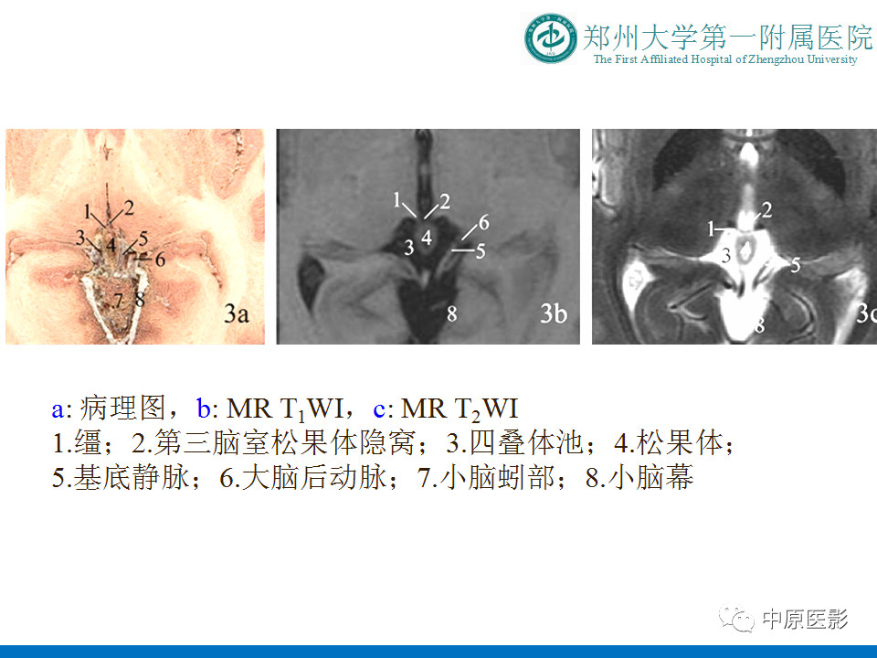 c1cd160f1f476b094488a37ad107a2fc.jpg