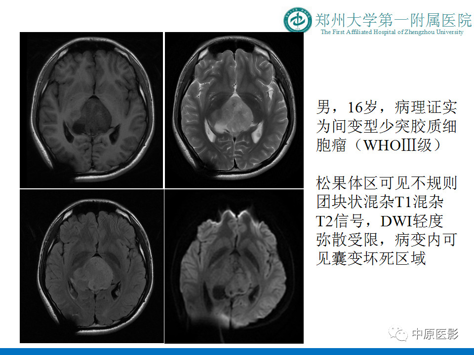 e50b955b311f32f91b22716548b650ca.jpg