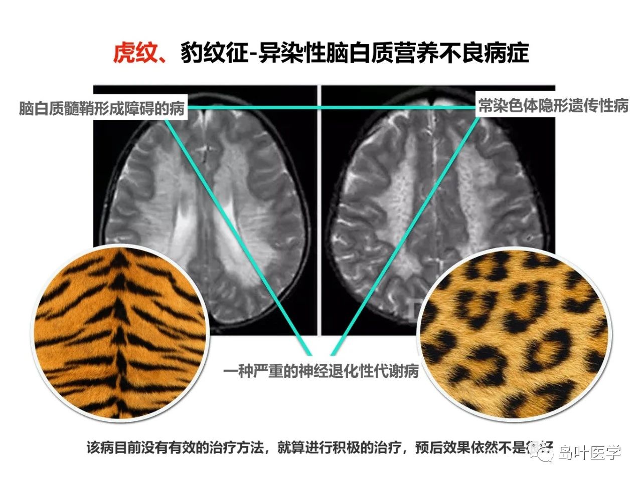 4cd47debf4d0497ef225edf995b7b070.jpg