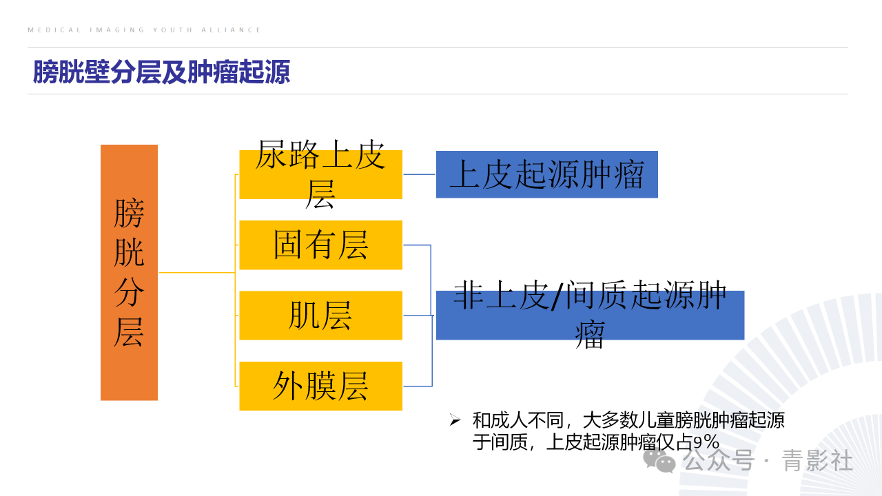 8826c7207f86c1b7f1912a93a2e208e3.png