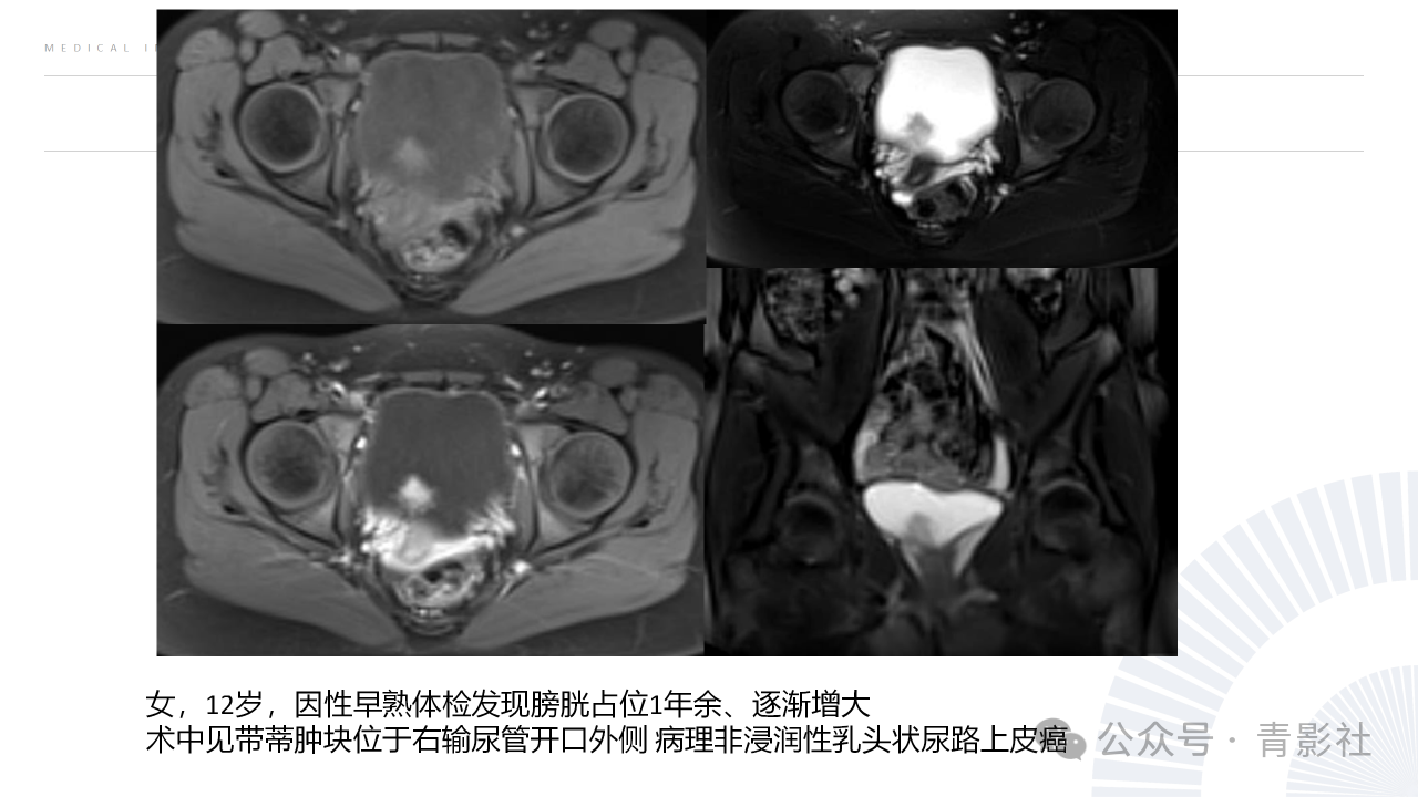 413a515e93a2733c0326a8737bdca719.png