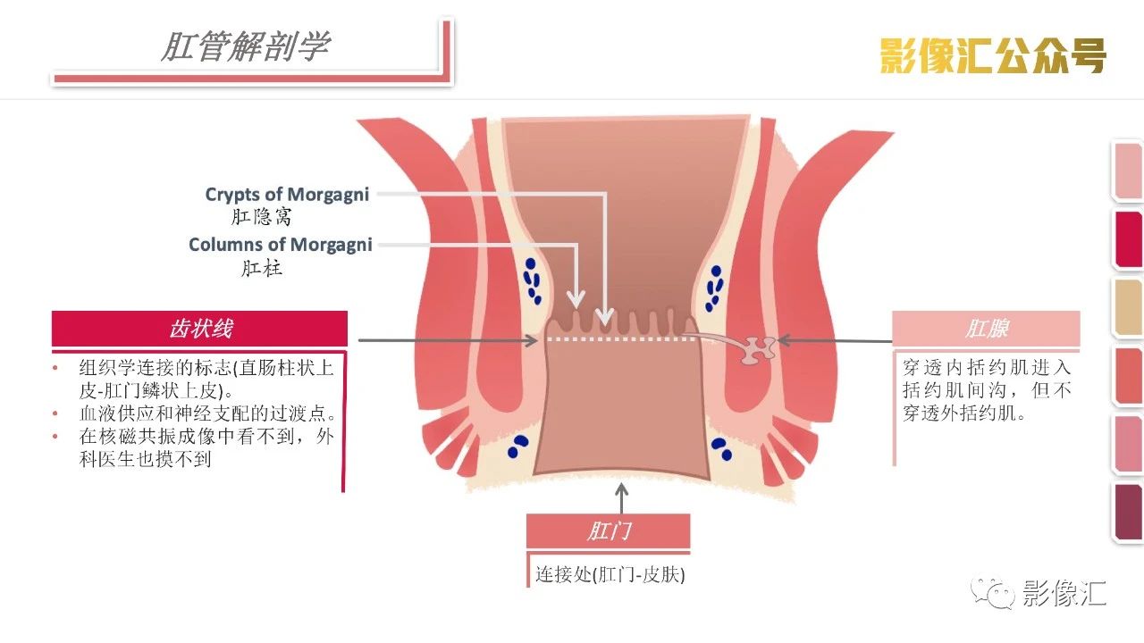 09916eb80a42fe0c096cc817519952e5.jpg