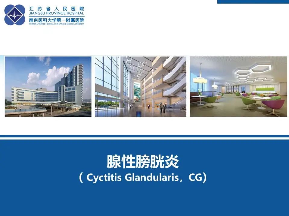 0cfce54b20a8d6cb230e4fea152917a0.jpg