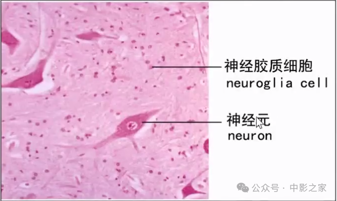 0eaabf80e90894105c68e515f84239fd.png