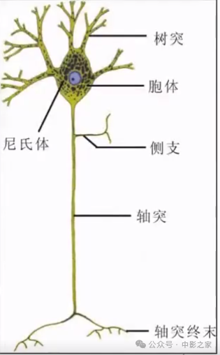 727edaa5f2cd7b31e81691961a6f9028.png
