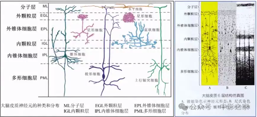 fc0a0f0c3db896d87953d5463d4e0819.png