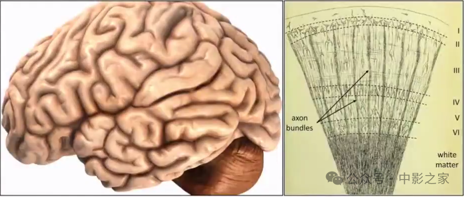 48f7ac251396a221f07e4b6d3da57cf5.png