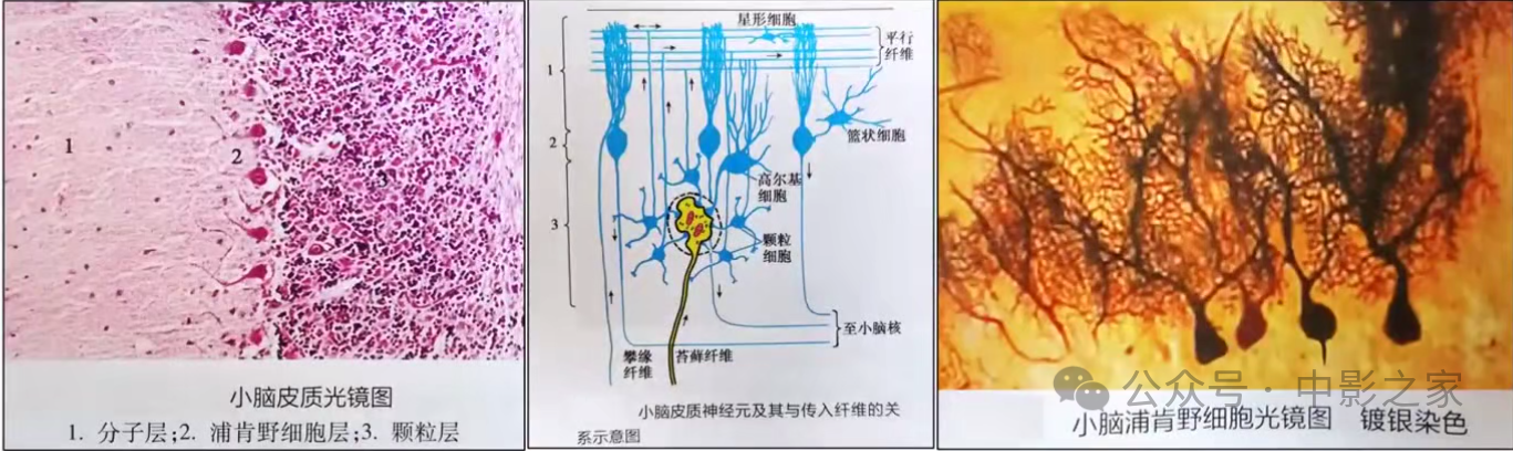 15992f51c4478093ddc07a74271619bd.png