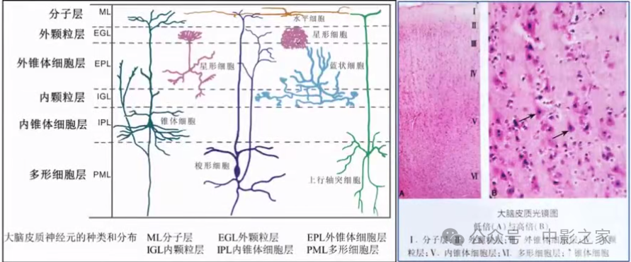 b522a69357365d68777b7f7121ce5d1f.png