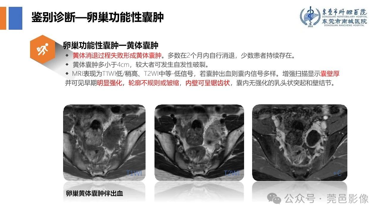 fd20e4e5b09a4e38edcc8a92cbc18328.jpg
