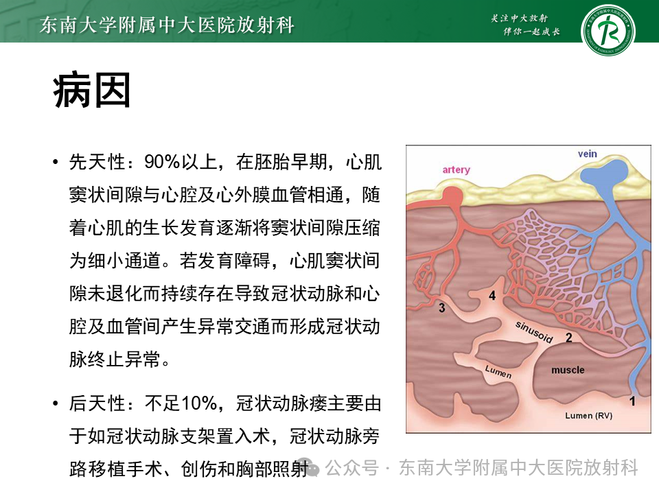 89b8a3977883bf9674cfdd8ae917aac2.png