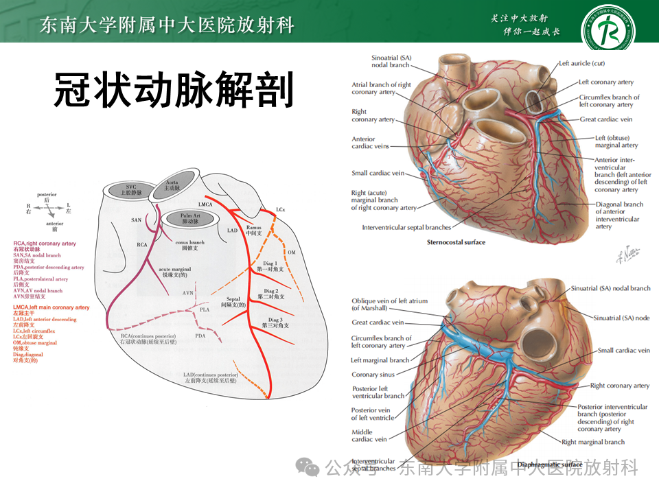 abe899440f2d06bc013c1a50ce128665.png