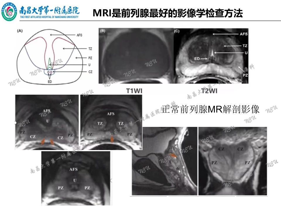 fcda8e8be95ed059fd4278e021032974.jpg