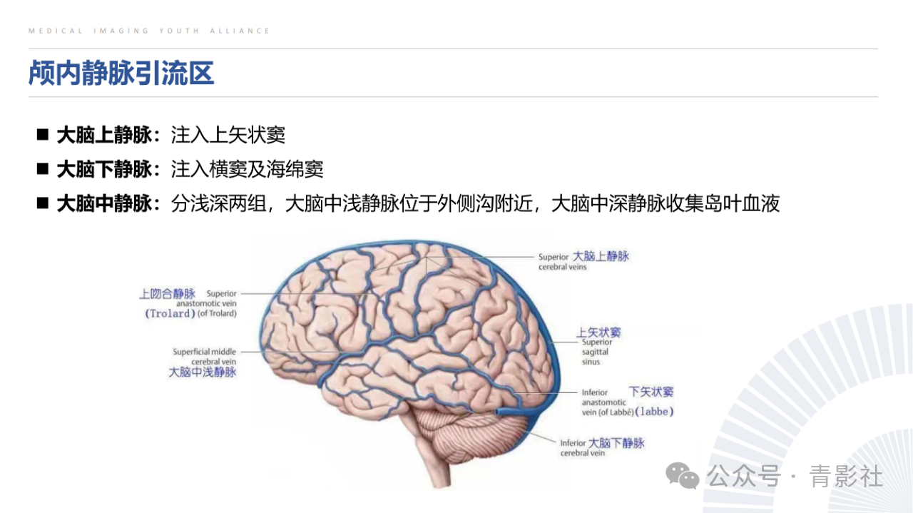 faec2be16b24740eb9d91176b75edca9.png