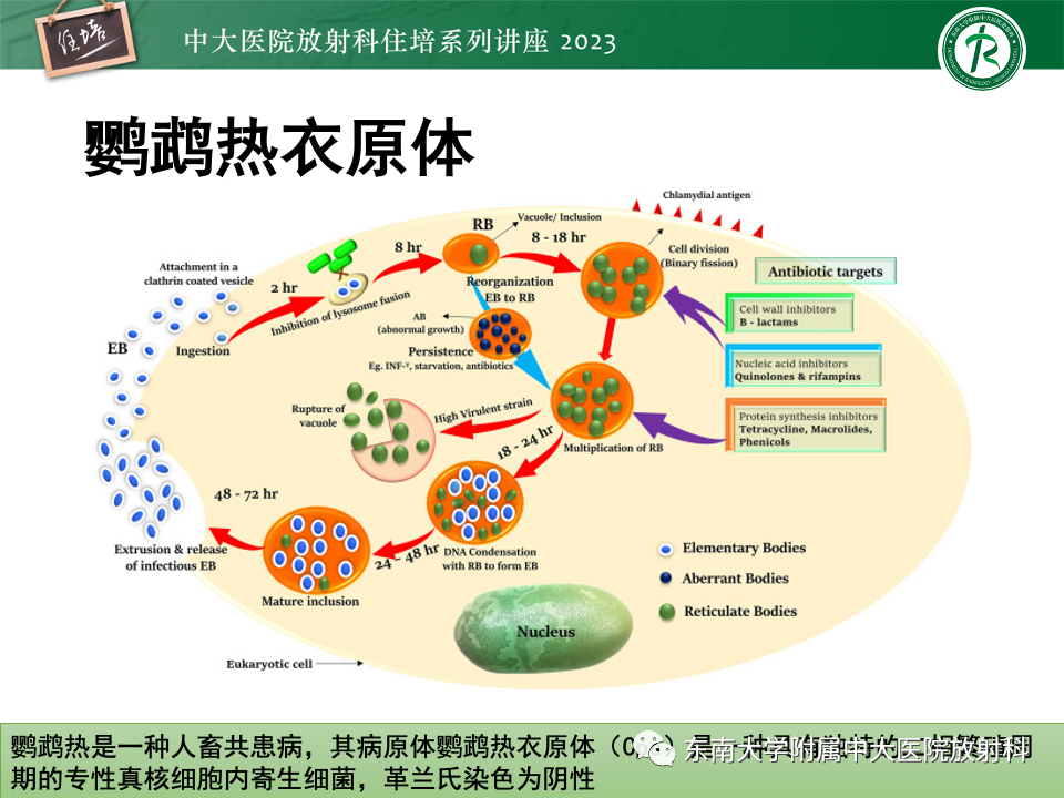 817d498c458a5ae0808c52f5450ac755.png