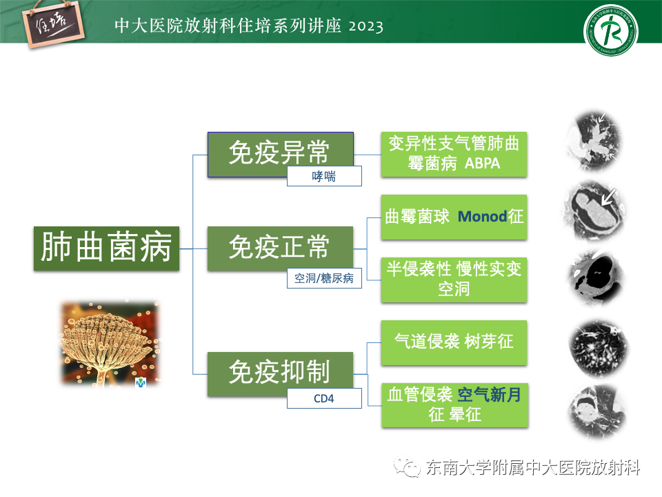 ef730c30b4b410e4557afa3b99d53496.png
