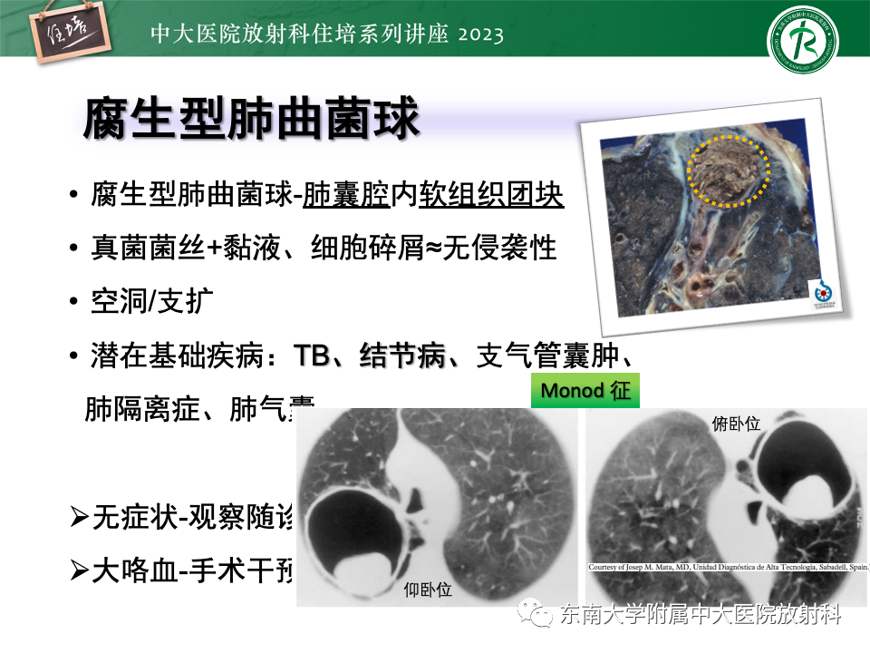 c413f1fcdccdc9a595812d66eb040022.png