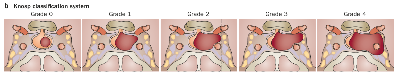 ed167e2da54518f602716a4a00d955c4.png