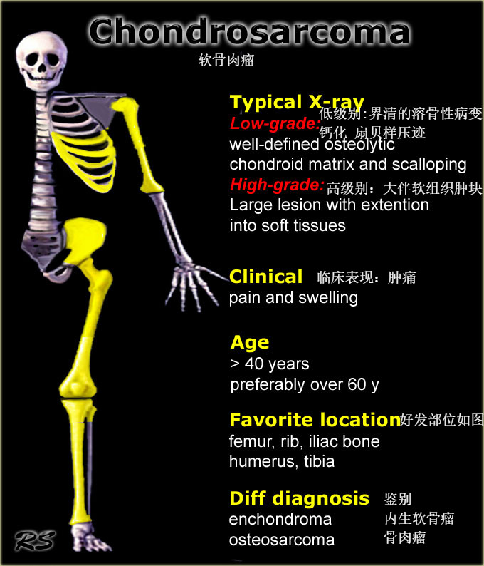 87c62dcb6e92486afa6224f8749c64f0.jpg