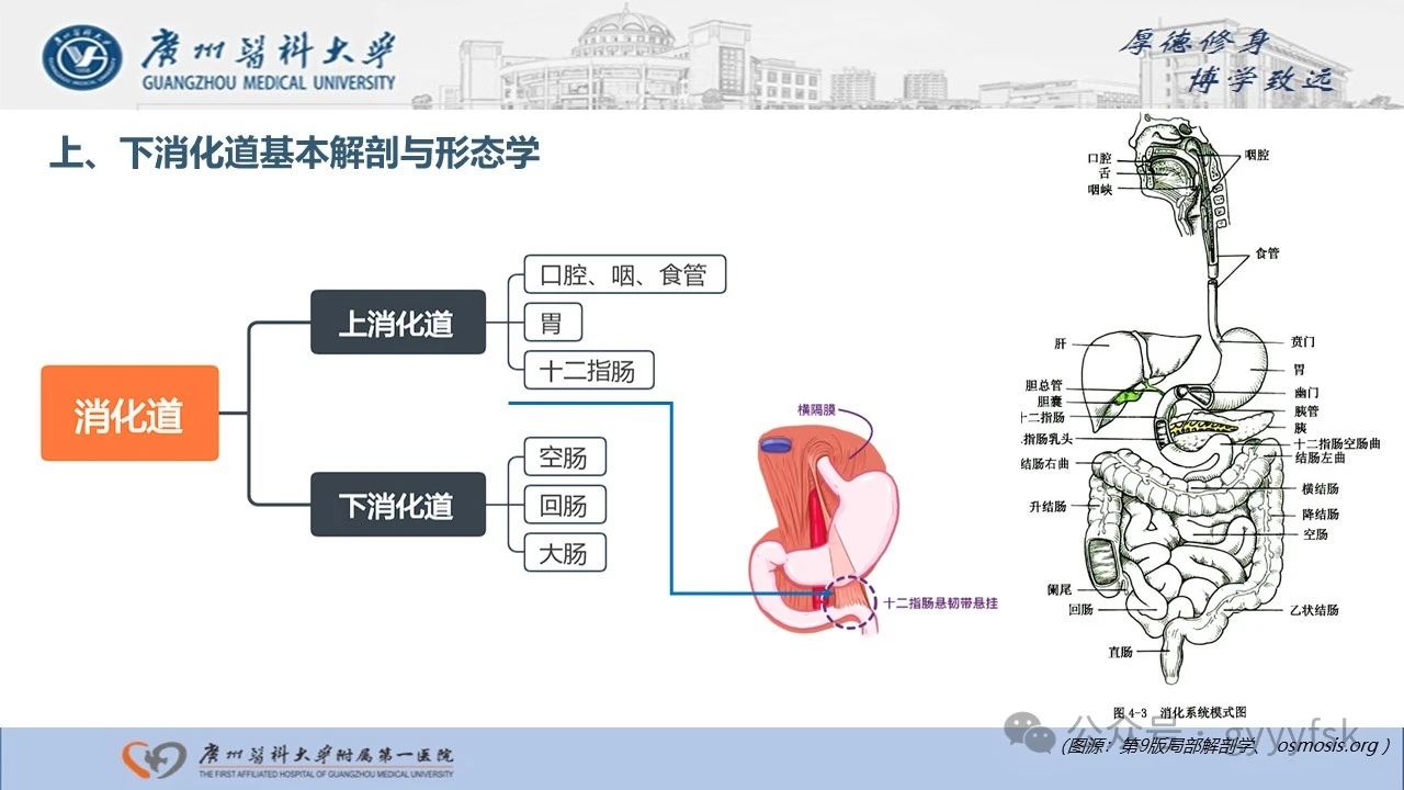 59c1dc8289cb1a7b6a0897e8a1a48491.jpg