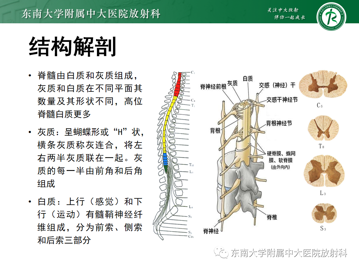 08954d5bf87c6bacf29e4dfa9d1a1635.png