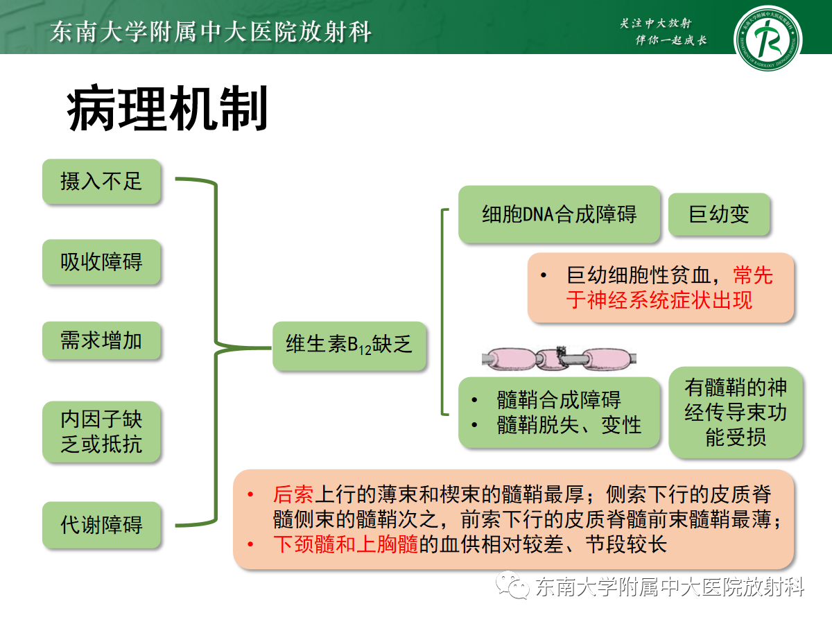 d409fbe5cfe82e58debbf7eff35d5851.png