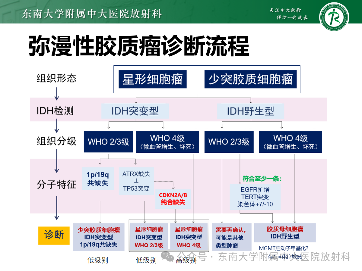 ff4597052ab209adf1e35abe45f0021c.png