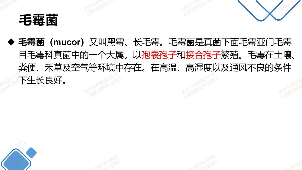 8f0e19dcc0800c4cd854faf5f09dc74e.jpg