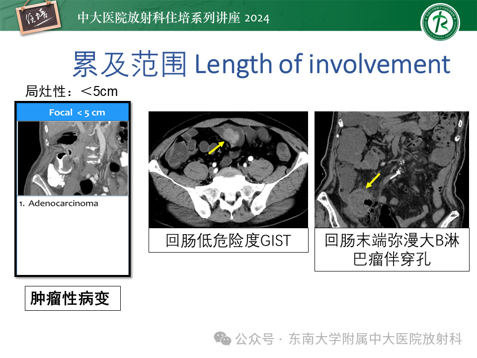 23f27ee7db536411c95760865736a350.png