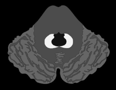 280025e71aa01b46c93371c8aad1226c.png