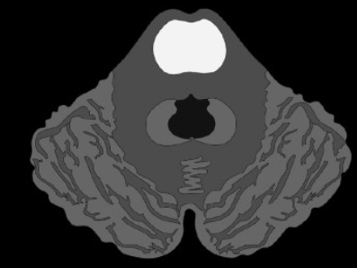 4d6cc461bf136146832a6d4599c59148.png