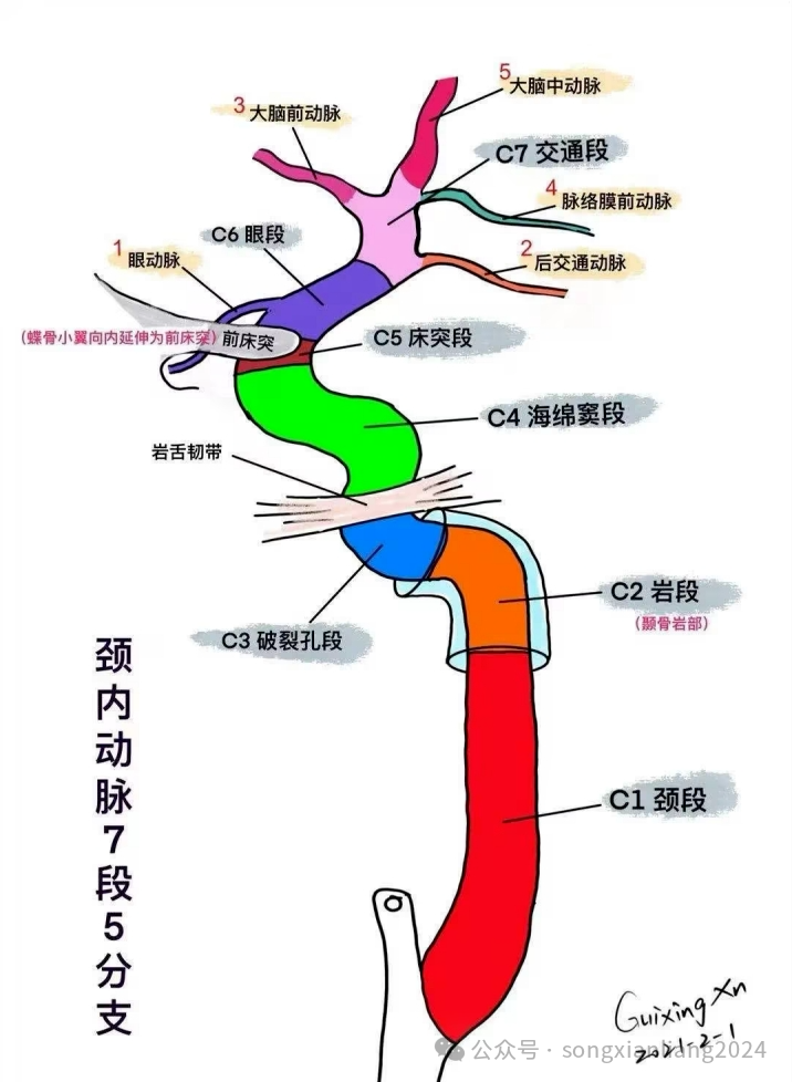 98369d70430323c3a3c7423b2ec5d791.png