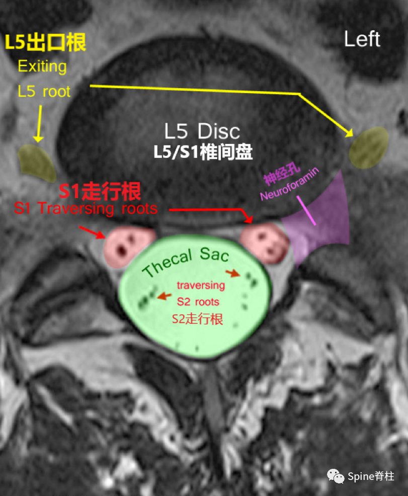 d3562476e4a7601f7bd7aa8e68acb57b.png