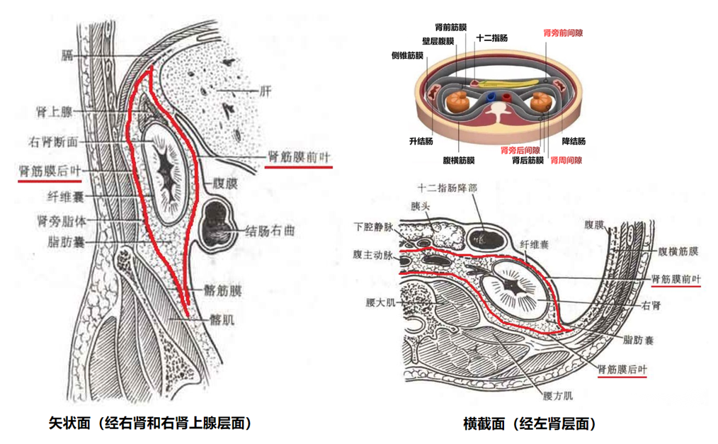 f42d71193ecfd64ed162e420211551d2.png