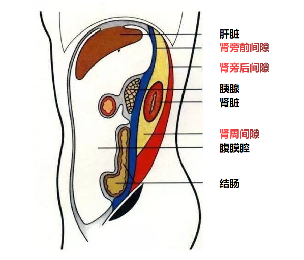 21f53a188bd133e783681743067ee8c7.png