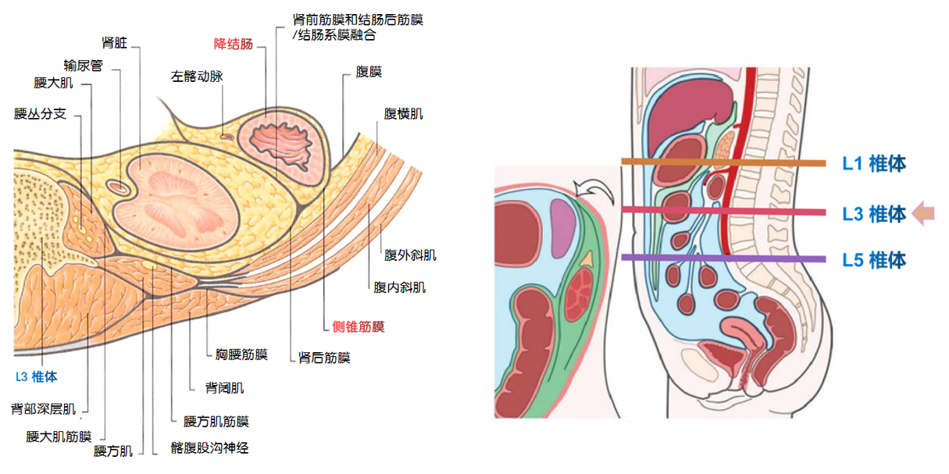 ba500eb875a305e71c01af448b3ca6a5.png